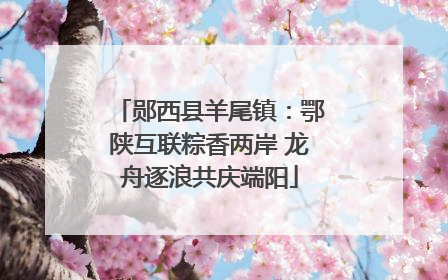郧西县羊尾镇：鄂陕互联粽香两岸 龙舟逐浪共庆端阳